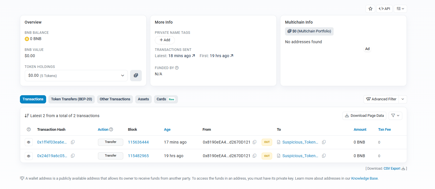 BscScan overview of a burner wallet with 0 BNB and 2 transactions